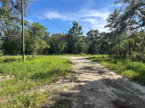 Tiny photo for 1631 NE 123rd Terrace, Williston, FL 32696 (MLS # OM731389)