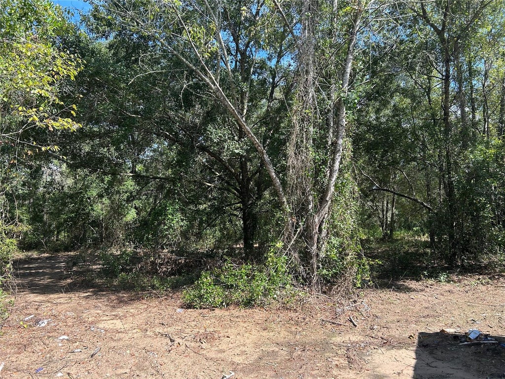 Photo of 1631 NE 123rd Terrace, Williston, FL 32696 (MLS # OM731389)