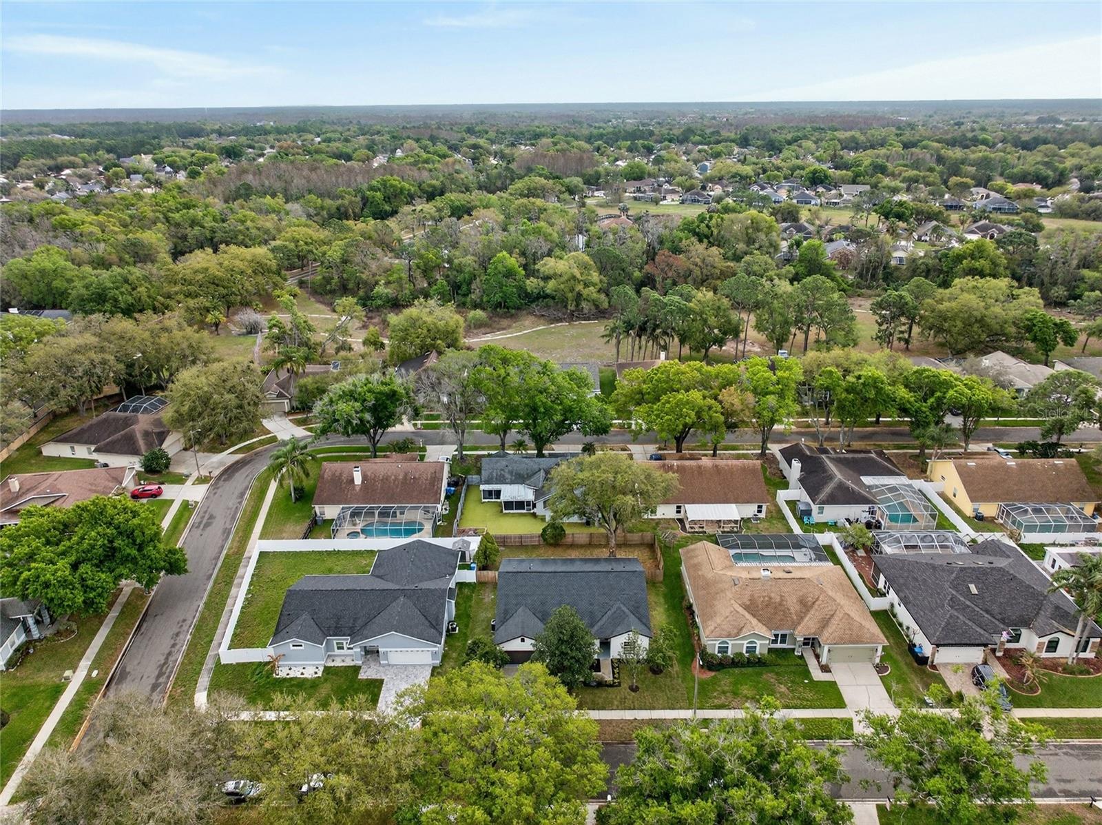 PEBBLE CREEK VILLAGE 8 - Residential