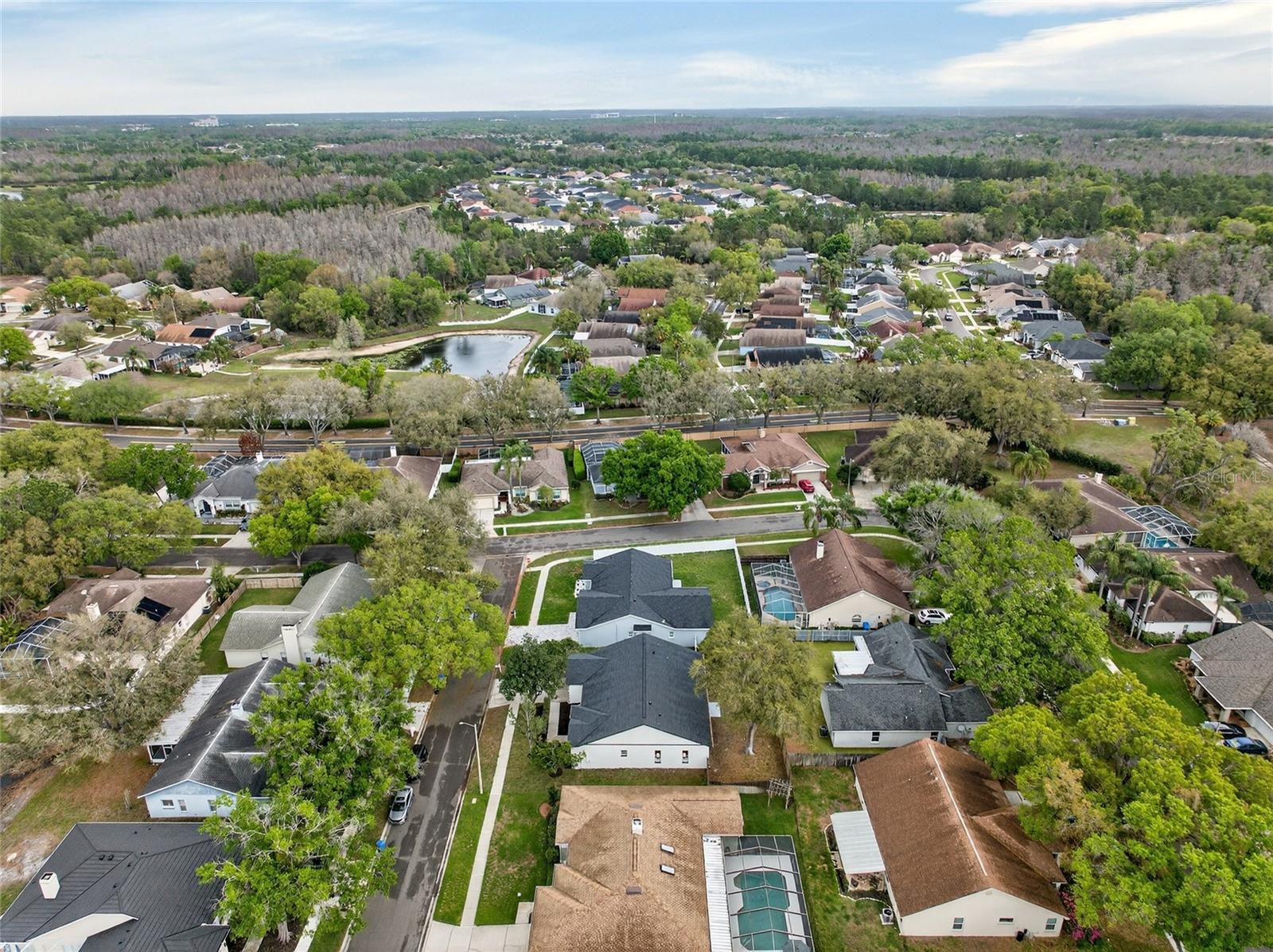 PEBBLE CREEK VILLAGE 8 - Residential