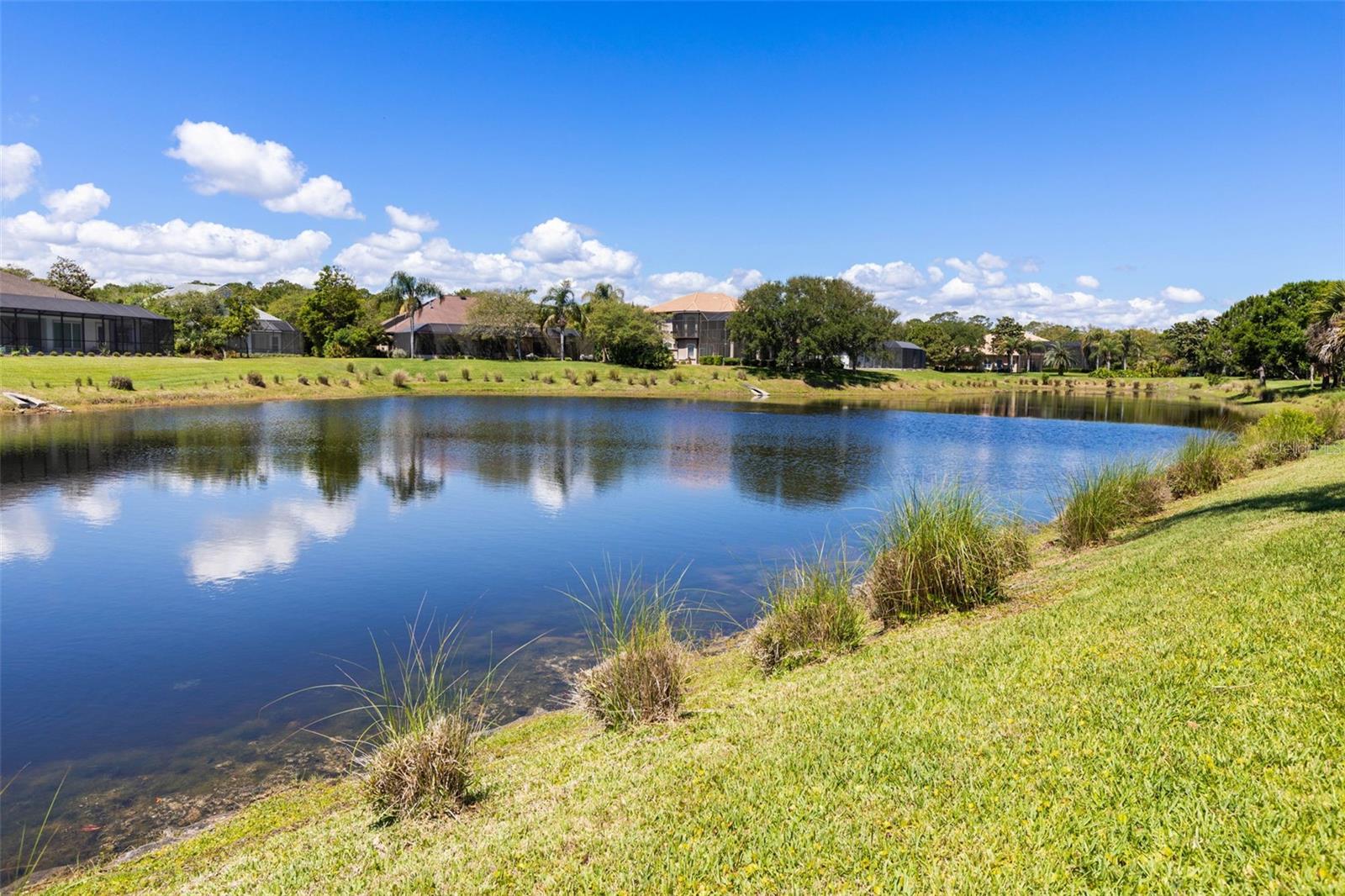 GRAND HAVEN - Residential