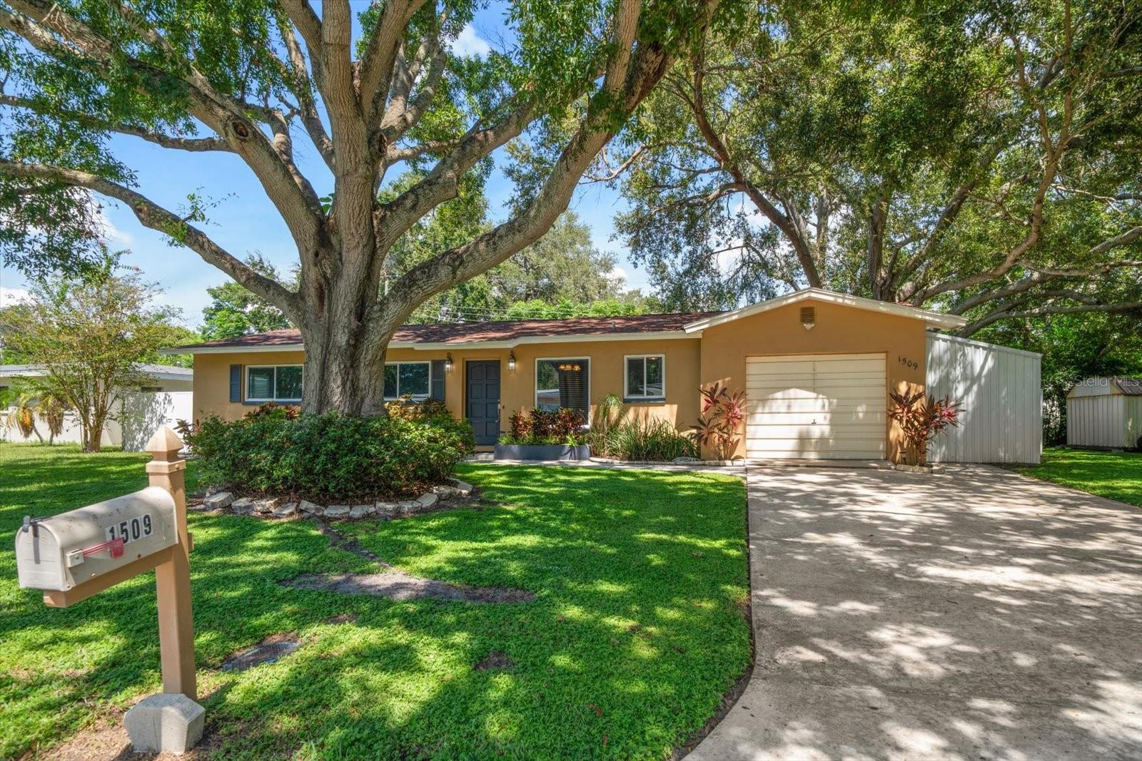 Charming Ranch-Style Home – Move-In Ready! Welcome to this delightful single-story ranch featuring 3 spacious bedrooms, 2 full bathrooms, and an attached one-car garage. Nestled in a serene neighborhood, this home boasts a light, bright and airy layout, perfect for comfortable living in the desirable Brookhill neighborhood. Spacious kitchen includes plenty of cabinets and counter space. Perfect amount of shade and sun with lovely tree in front and open patio in back to relax and BBQ, hidden from your side neighbors with 6 foot vinyl privacy fence. Zoned for the popular Oak Grove Middle and Clearwater High Schools and close to shopping, restaurants, schools and the beautiful white sand Gulf Beaches.