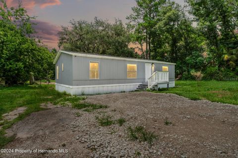 A home in BROOKSVILLE