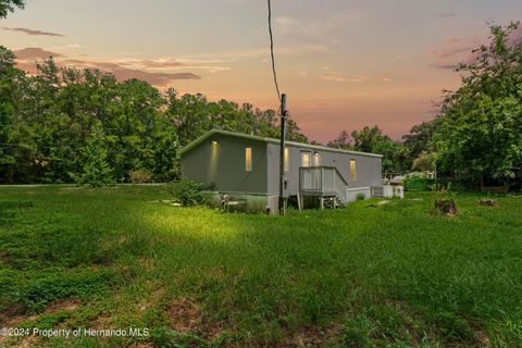 A home in BROOKSVILLE