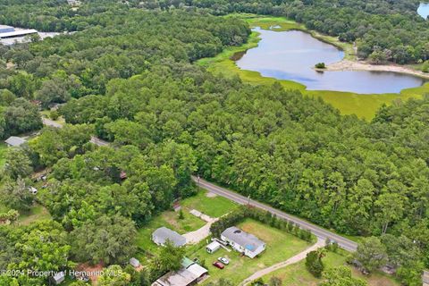 A home in BROOKSVILLE