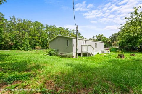 A home in BROOKSVILLE