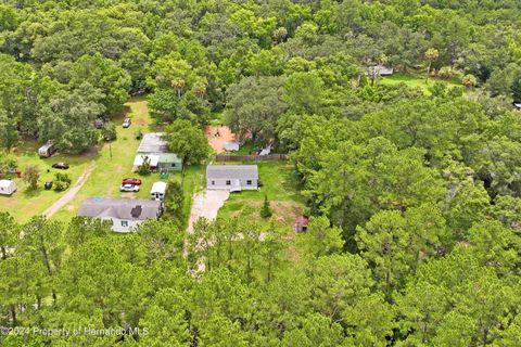 A home in BROOKSVILLE