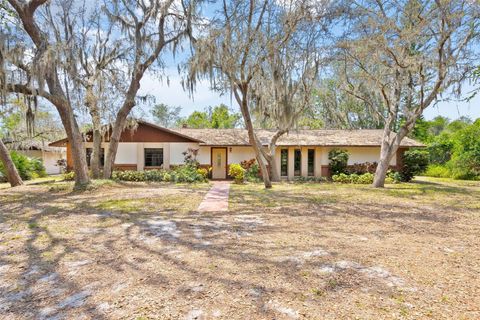 2807 COUNTRY RIVER DRIVE PARRISH FL 34219