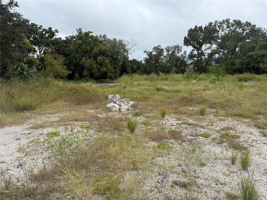 Welcome to the heart of Tampa Bay! , this 1.8 acre double parcel is truly a Tampa treasure. This property provides close and easy access to US-41 and I-275, putting you about a 15 minute drive to anywhere you'd like to go in Tampa. This land also has a private creek that runs on the left border of the property. Build your own private dream home or make it an investment project. There are so many options with this RS-60 zoned property. This sale includes two (2) parcels, Parcel 094773 with PIN: A-12-28-18-3C5-000000-00008.3 and Parcel 0947730100 with PIN: A-12-28-18-3C5-000000-00008.4.