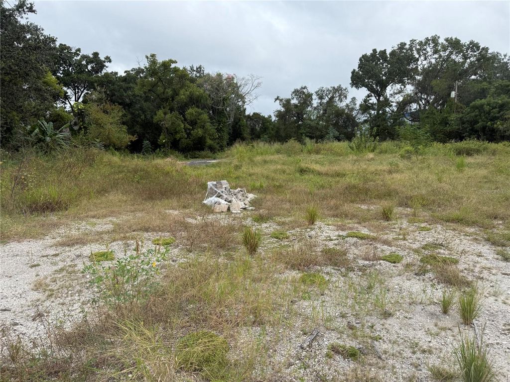 Photo of 145 W Country Club Drive, Tampa, FL 33612 (MLS # TB8436773)