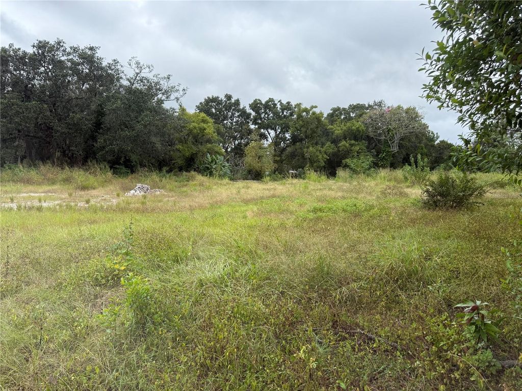 Photo of 145 W Country Club Drive, Tampa, FL 33612 (MLS # TB8436773)