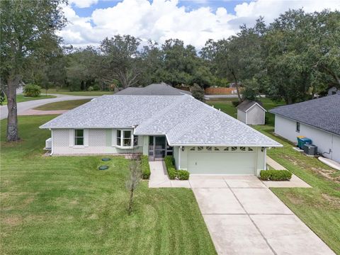 Photo of 1003 Woodward Oaks Circle, Eustis, FL 32726 (MLS # G5101783)