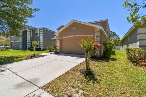 A home in RIVERVIEW