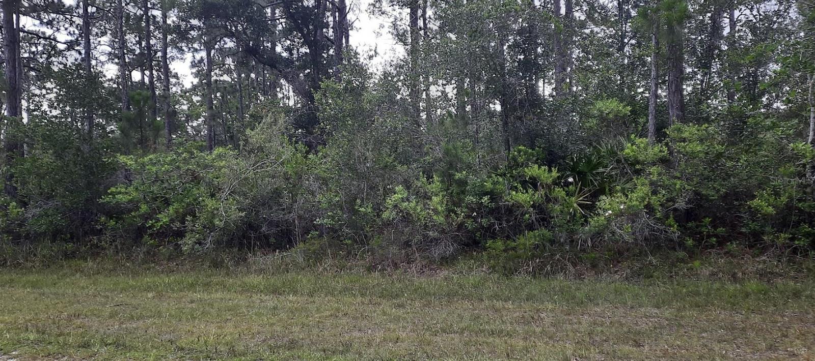 INDIAN LAKE ESTATES - Land