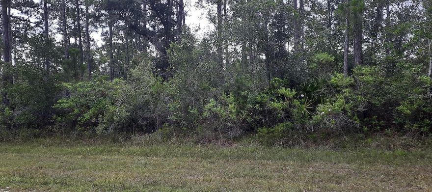Come build your forever home on this ONE ACRE lot that located in the lake community of Indian Lake Estates, a golfing, fishing and
boating community in the center of Florida. Indian Lake Estates is about 20 miles east of Lake Wales. The community surrounds the 7,500 acre lake locally known as Lake Walk In Water, nationally known for its fishing and considered to be one of the best bass fishing lakes in all Florida. The lake has a beach, boat ramp, boat marina and the longest freshwater Fishing pier in the State of Florida. The pavilion is located at the front of the pier and is complete with propane grills and covered picnic tables. The community amenities include an 18-hole golf course, basketball and tennis courts, 23, 000 sq.ft. clubhouse, cafe, post office, churches, library, fitness room and pro shop. If you love nature and the peace and quiet of the country you're in luck. Wildlife is plentiful! You will see deer, raccoon, turkey, turtles, cranes and various species of birds that call Indian Lake Estates their home. Orlando and Disney is only about an hour's drive north and Tampa, Busch Gardens, and the Gulf's pristine beaches only a little over an hour west. Historic Bok Tower, a National Landmark, is in nearby Lake Wales. The Westgate River Ranch Resort and Rodeo is just six miles away. An authentic Florida dude ranch and full-service resort offering guests the opportunity to experience "Old Florida." Encompassing 1,700 beautiful acres, Westgate River Ranch features horseback riding, wildlife airboat and swamp buggy rides, Saturday night championship rodeo, trap/skeet range, nature hikes, petting farm, marina, Adventure Park with zip line and rock climbing wall, Westgate Smokehouse Grill and River Ranch Saloon and much more. Cowboy-themed accommodations range from ranch-themed lodge guestrooms and deluxe lodge suites to spacious cottages, two-bedroom cabins, Glamping and Luxe Teepees. Come out and see how great life can be at Indian Lake Estates! Polk County's best kept secret!