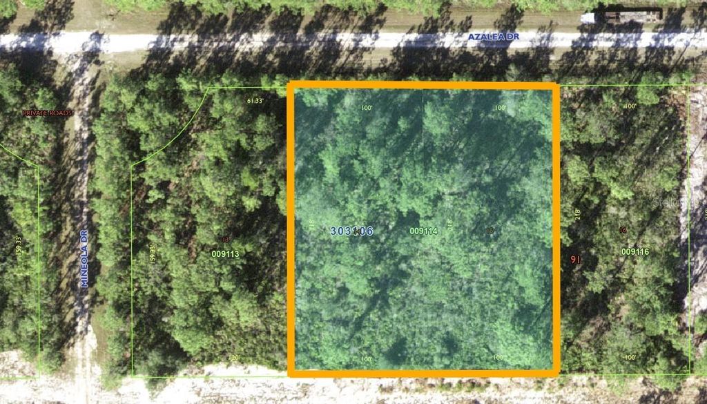 Photo of 421 Azalea Drive, Indian Lake Estates, FL 33855 (MLS # TB8395629)