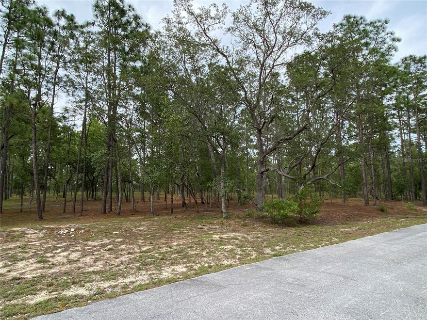 This 1 acre can be purchased alone or in conjunction with 2 adjacent acres with the home on the center acre in the beautiful community Rainbow Lakes Estates. More information and pictures can be found under MLS #A4571553 and the other vacant lot under MLS #A4571555. NO HOA. Zoned R-1 for site-built homes only (no mobile homes). Come see today this secluded Florida woodland oasis.