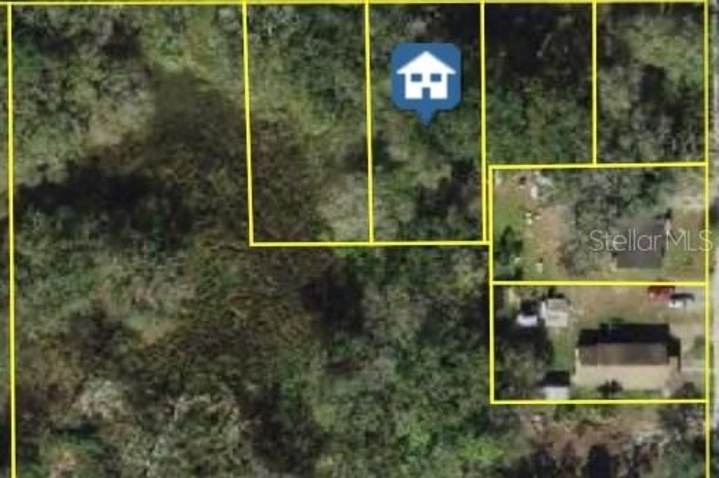 Photo of E Diana Street, Tampa, FL 33610 (MLS # TB8348917)
