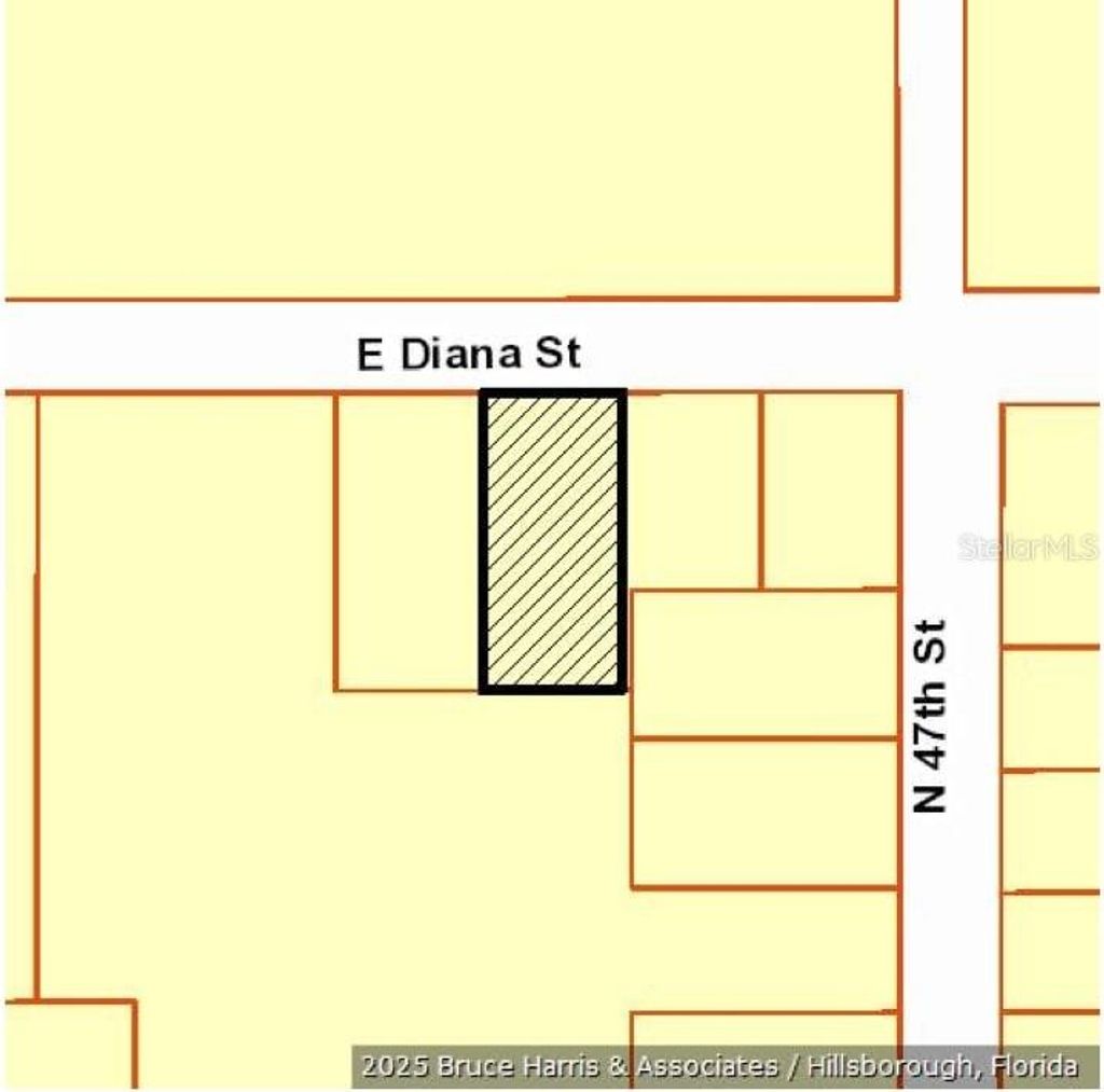 Photo of E Diana Street, Tampa, FL 33610 (MLS # TB8348917)