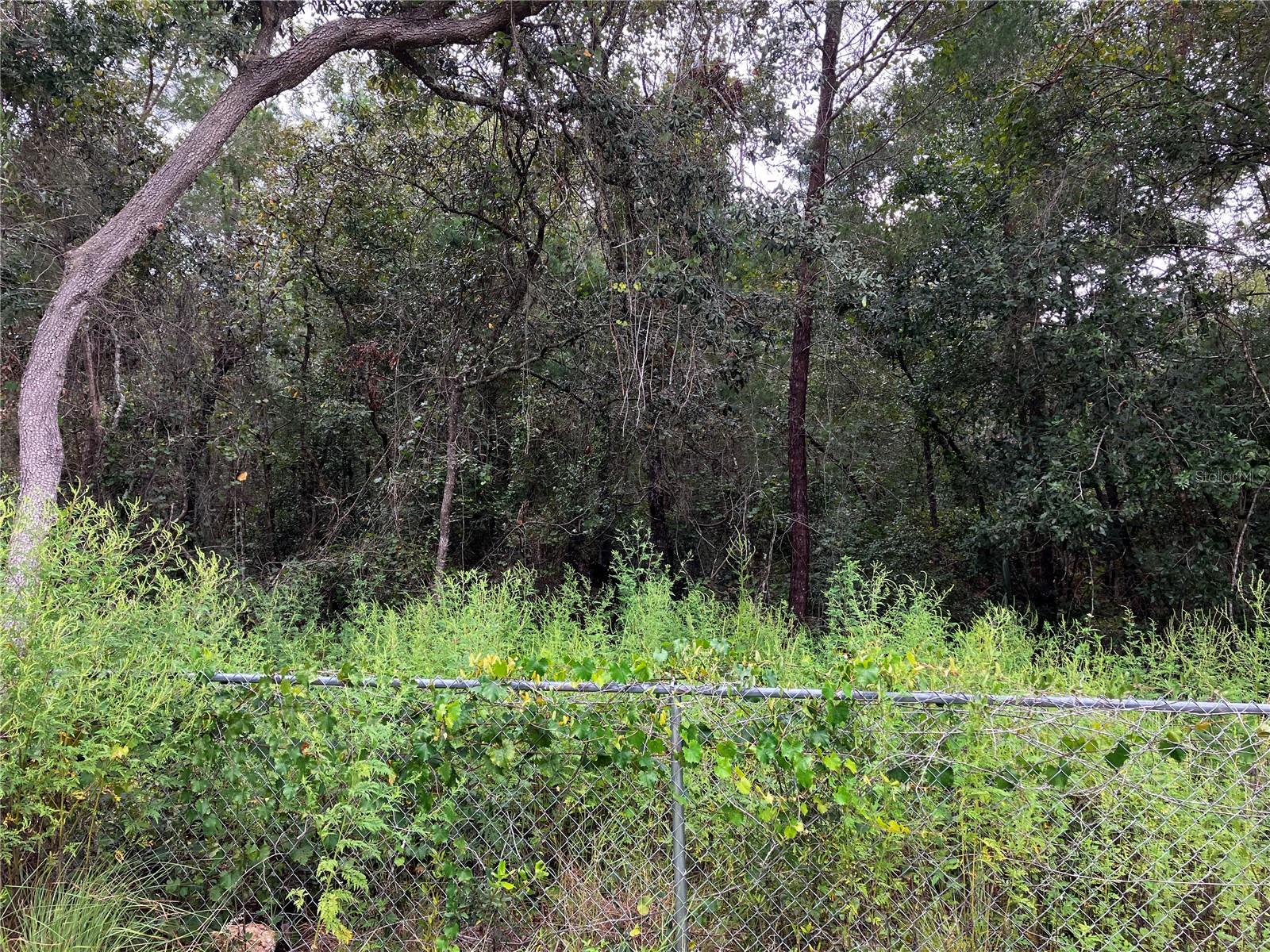 PORT RICHEY CO - Land