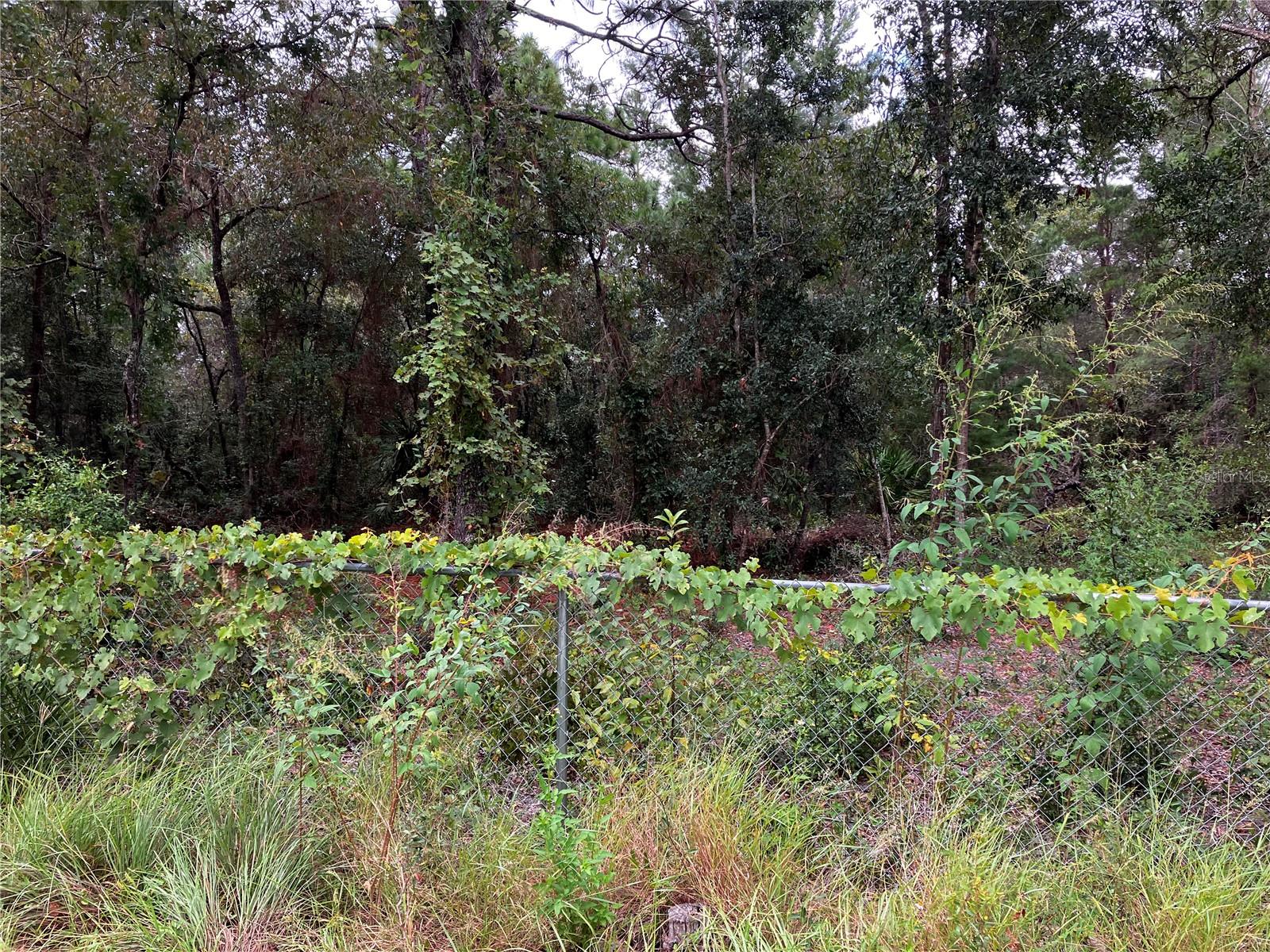 PORT RICHEY CO - Land