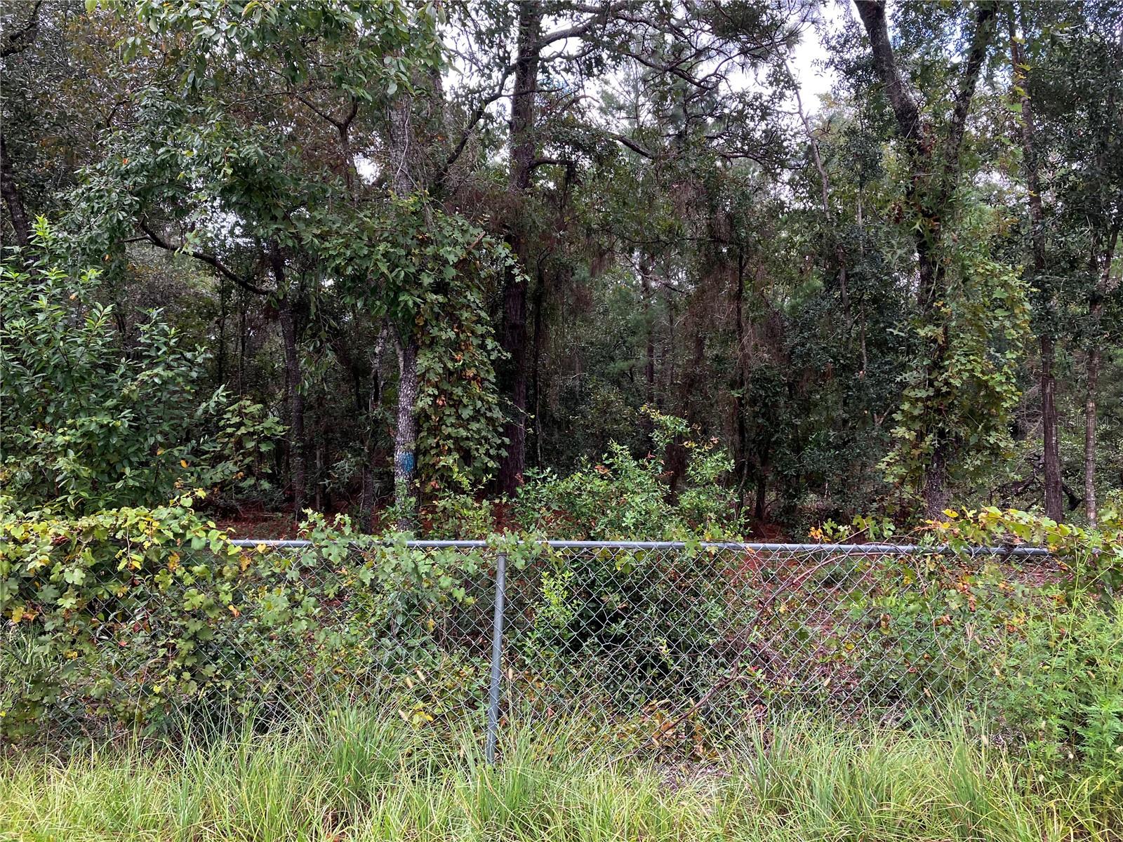 PORT RICHEY CO - Land