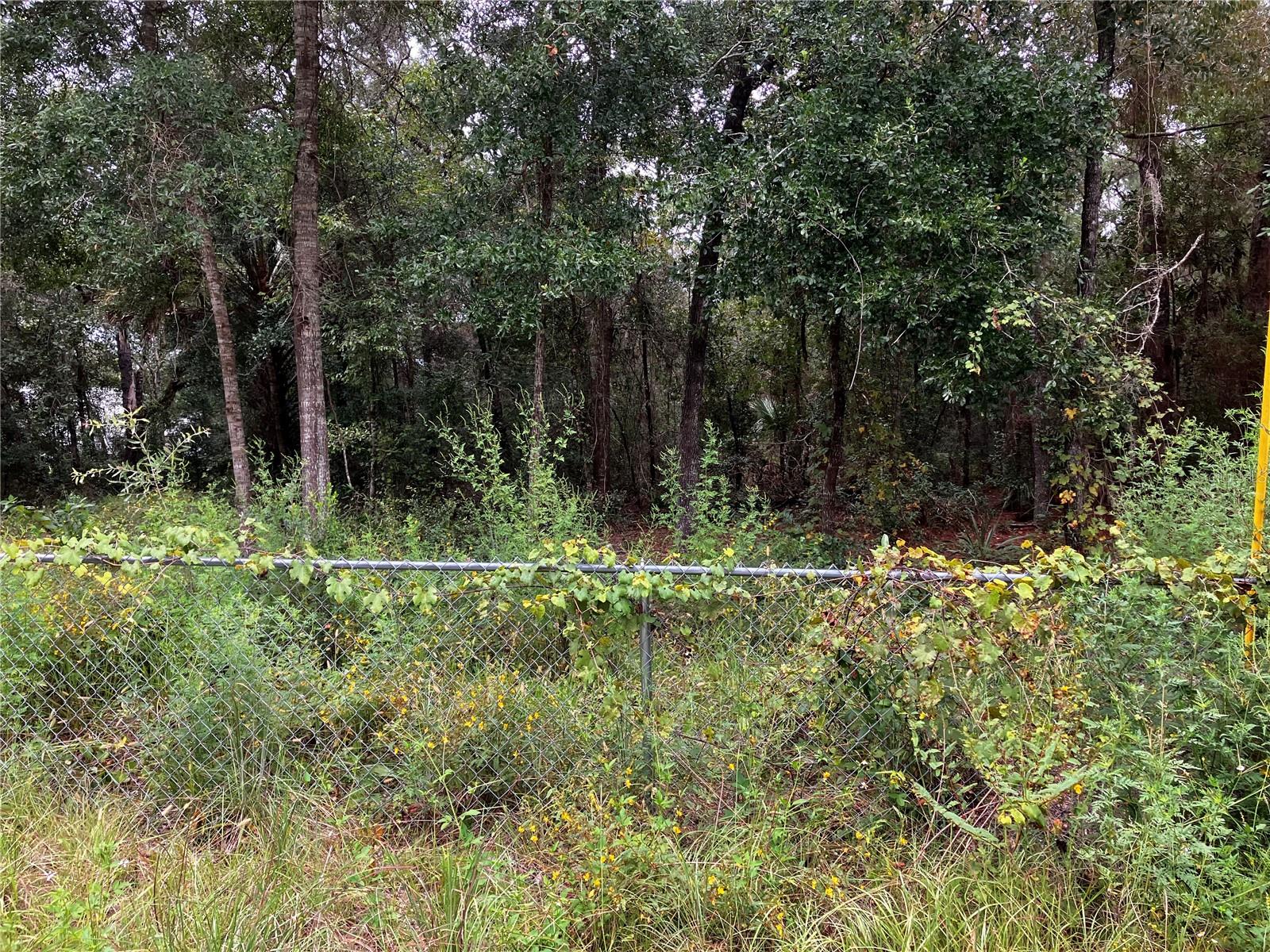 PORT RICHEY CO - Land