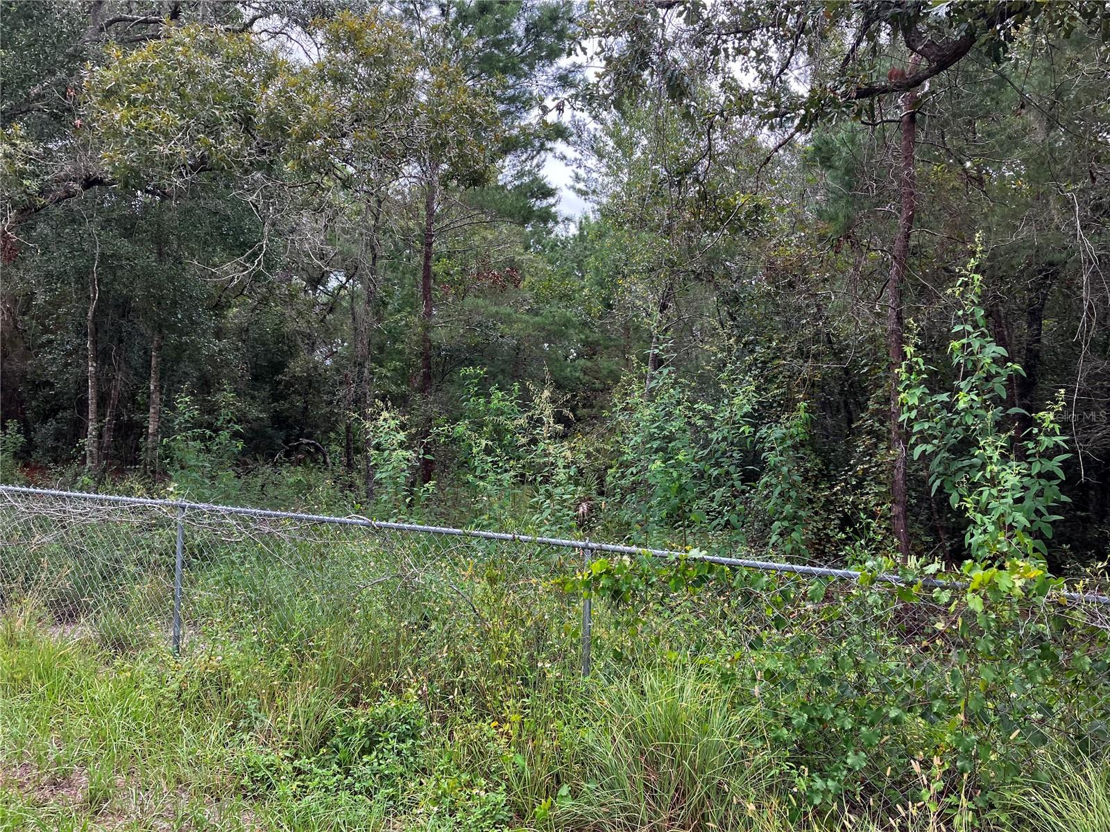 PORT RICHEY CO - Land