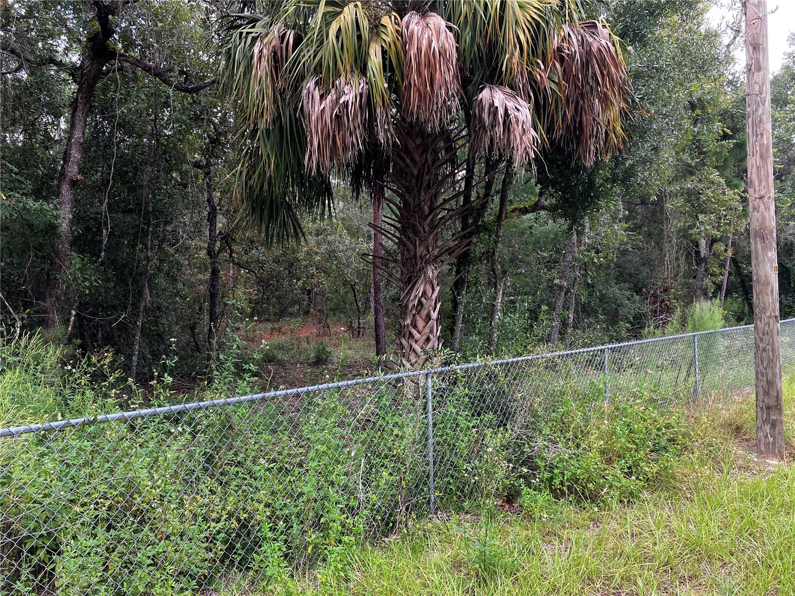 PORT RICHEY CO - Land