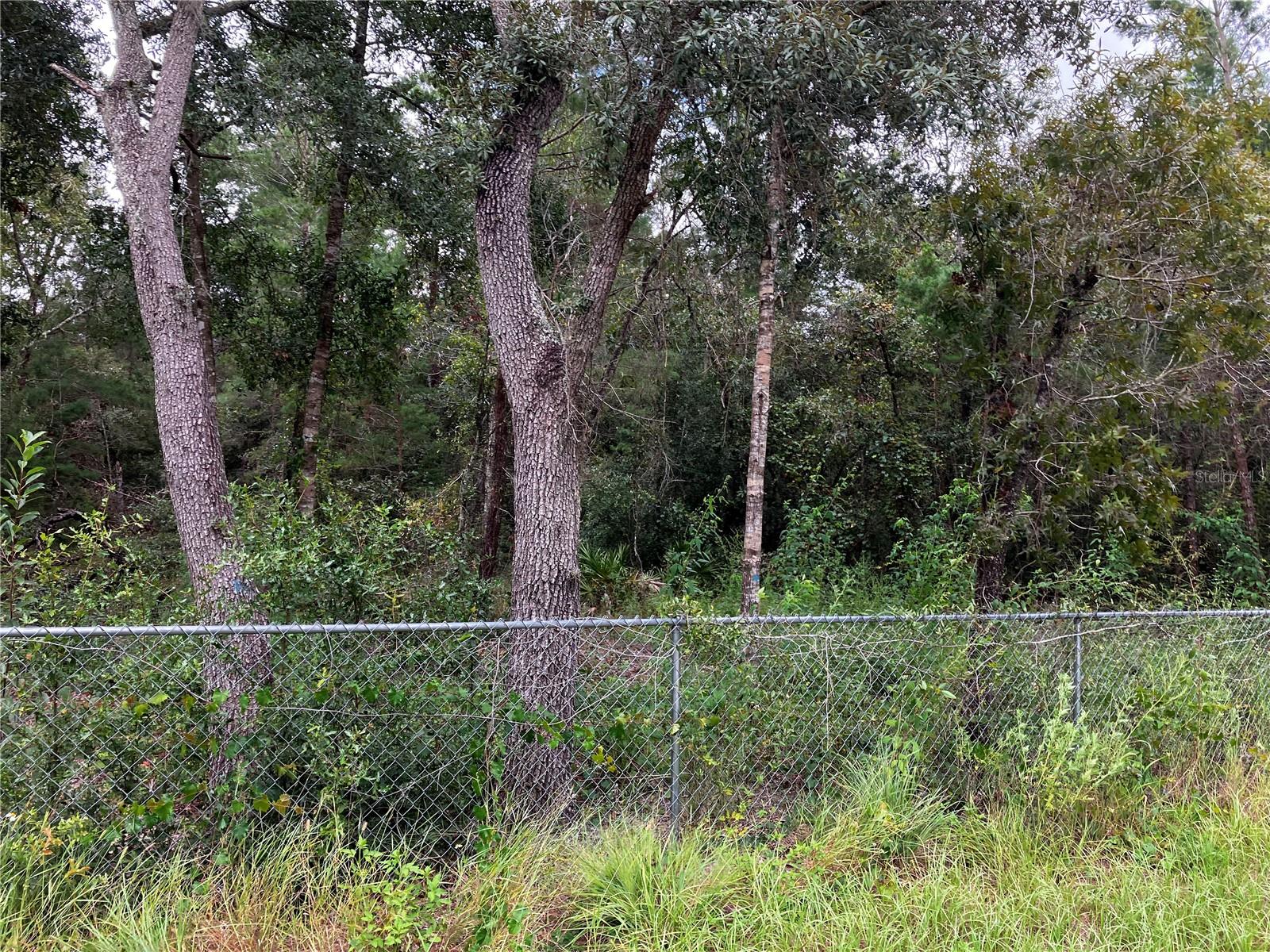 PORT RICHEY CO - Land