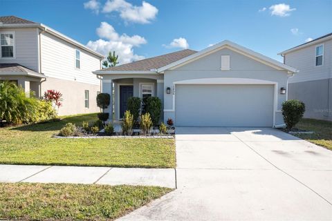 Photo of 10456 Red Tailed Hawk Lane, Land O Lakes, FL 34638 (MLS # W7882458)