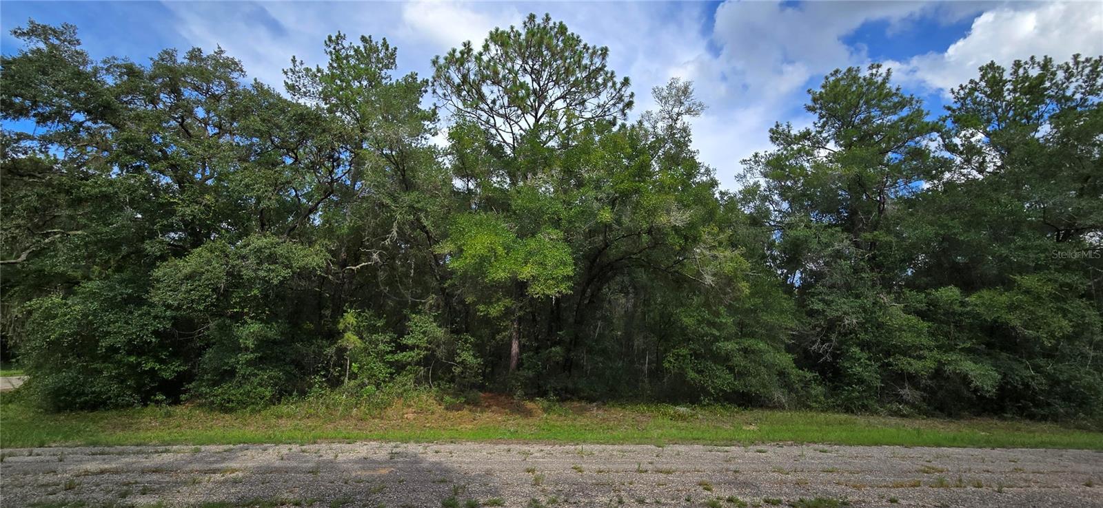 Build your dream home!! Nestled in the heart of Citrus Springs, an inviting and rapidly developing area of Florida, this over quarter-acre buildable corner lot presents a rare opportunity for discerning buyers, investors, and dream-home builders alike. As communities around the Sunshine State continue to flourish, Citrus Springs stands out for its blend of natural beauty, promising growth, and affordable living—making this parcel a compelling canvas for your next venture. NO HOA AND NO FLOOD INSURANCE REQUIRED. It is conveniently located to the famous Crystal River, home of the world-renowned Manatee Migration and scallop season. Citrus County is known for its crystal-clear springs and rivers. The Rainbow River, Three Sister Springs and the Homosassa River are all well known for swimming, kayaking, boating and some of the best fishing in Florida. Conveniently located near new retail shops, restaurants, and grocery stores. Close to the Suncoast parkway for quick access to the airport, Tampa, Clearwater and St. Pete Beaches (Ranked in the top 5 Beaches in the US), also close to the famous Tarpon Springs Sponge Docks. Enjoy everything Tampa Bay has to offer from the new Downtown Riverwalk, TOP US BEACHES, boating, fishing, golfing, cultural entertainment, and museums...and of course beautiful year-round weather!