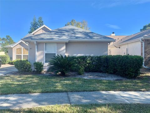 A home in MOUNT DORA