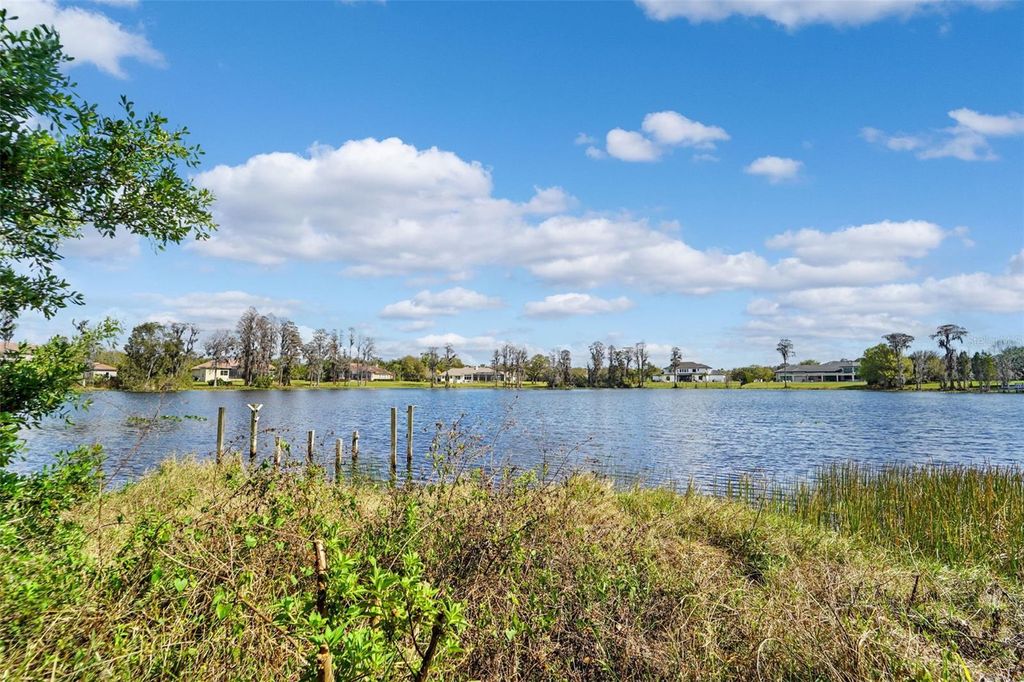 Photo of 18709 Wayne Road, Odessa, FL 33556 (MLS # TB8484057)