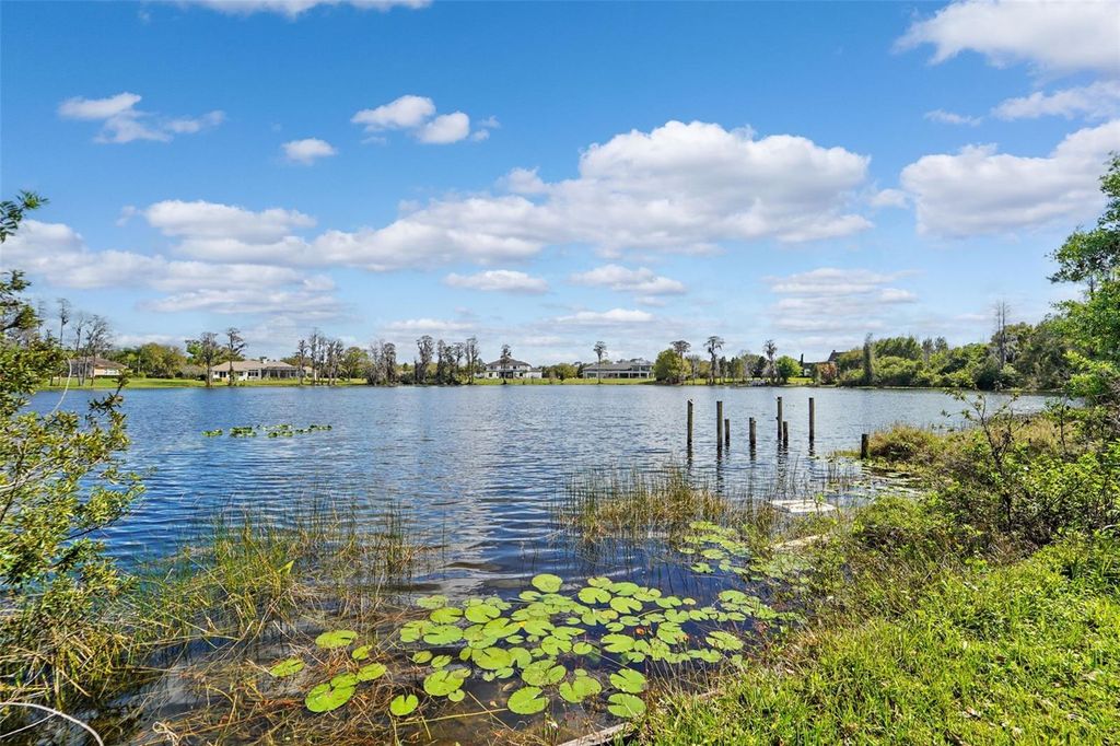 Photo of 18709 Wayne Road, Odessa, FL 33556 (MLS # TB8484057)