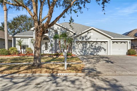 A home in RIVERVIEW