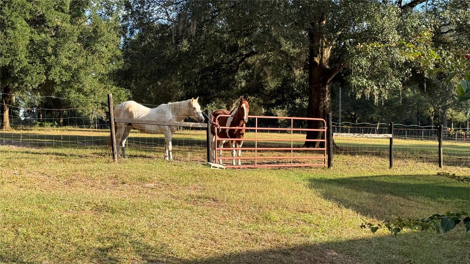 41030 OAK GROVE ROAD