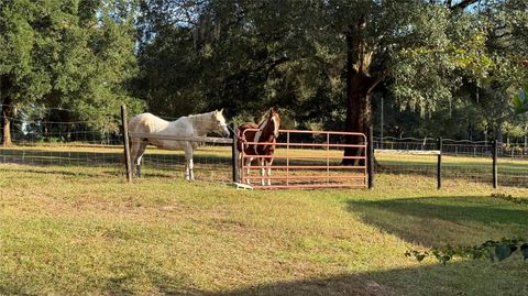 Photo of 41030 Oak Grove Road, Weirsdale, FL 32195 (MLS # OM713180)