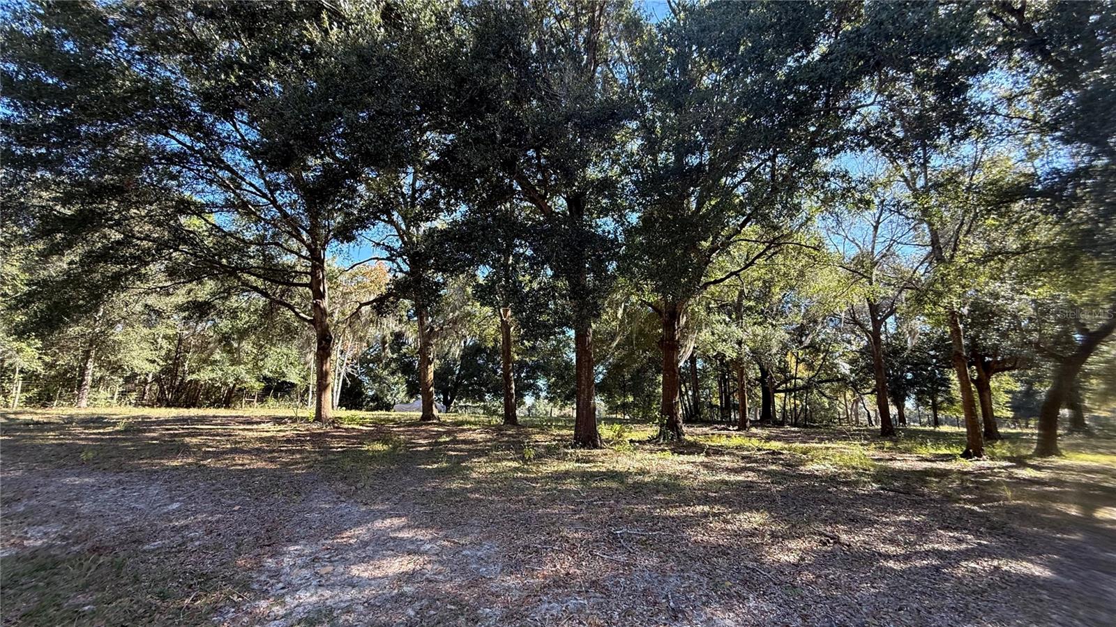 41030 OAK GROVE ROAD