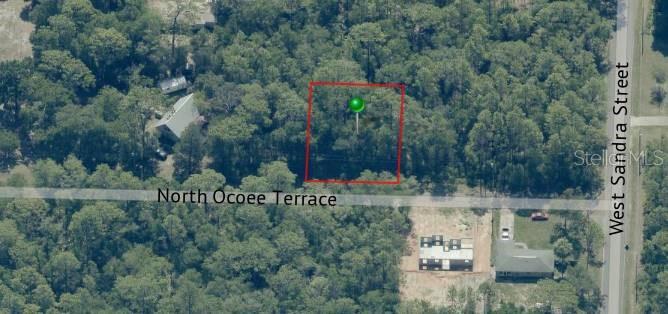 8325 N OCOEE TERRACE