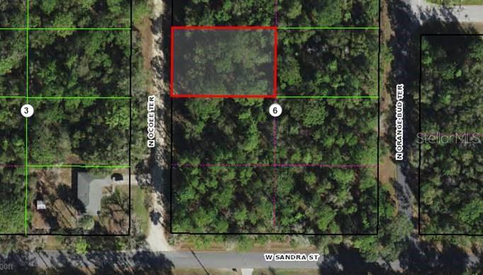 8325 N OCOEE TERRACE