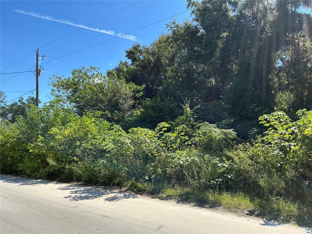 Photo of 0 SE 134th Place, Belleview, FL 34420 (MLS # OM714274)