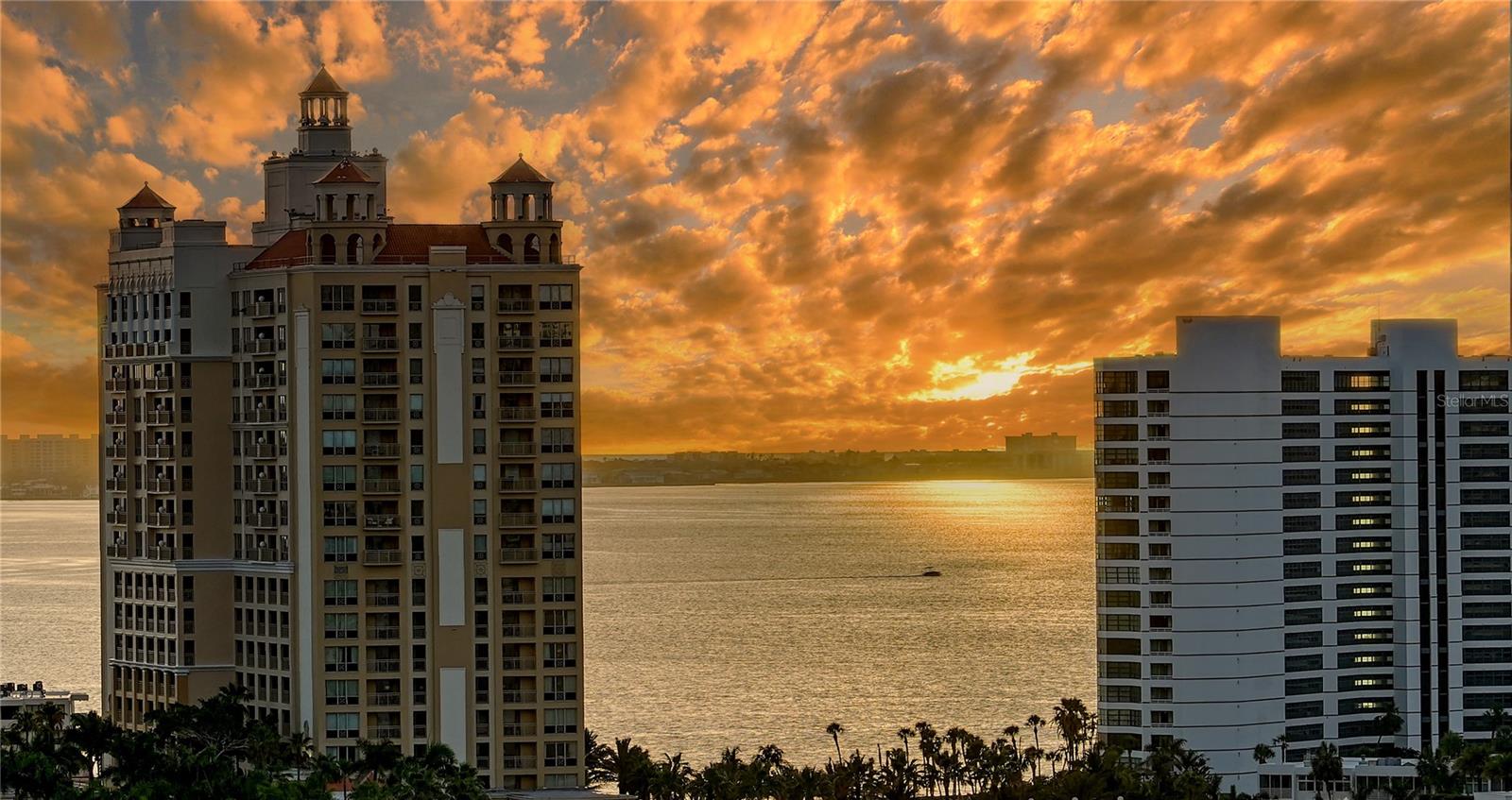 MARK SARASOTA CONDO - Residential