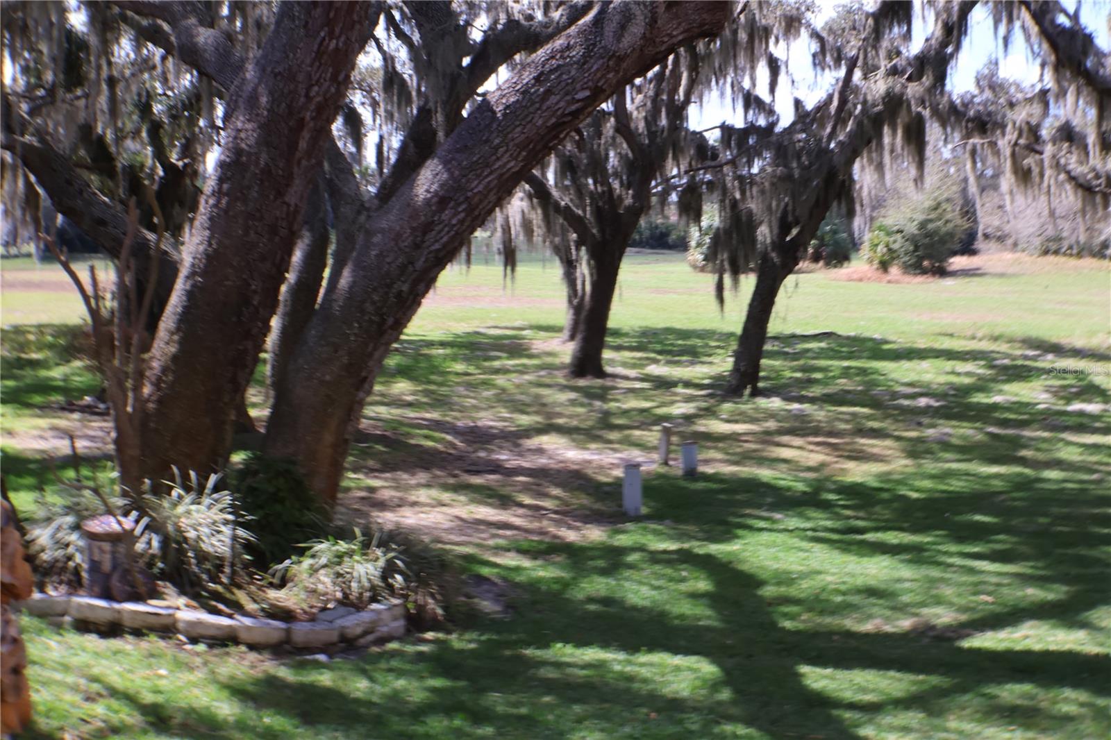 FAIRWAY OAKS CONDO - Residential