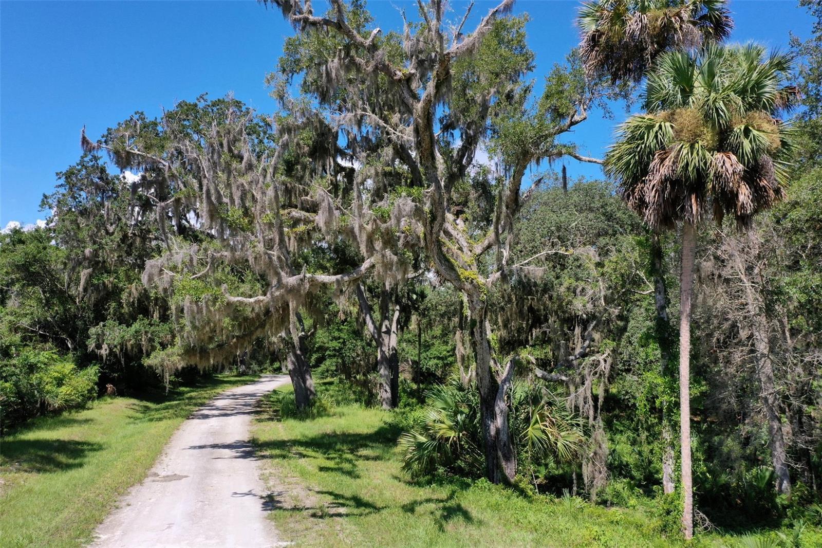 SEASIDE LNDGS - Land