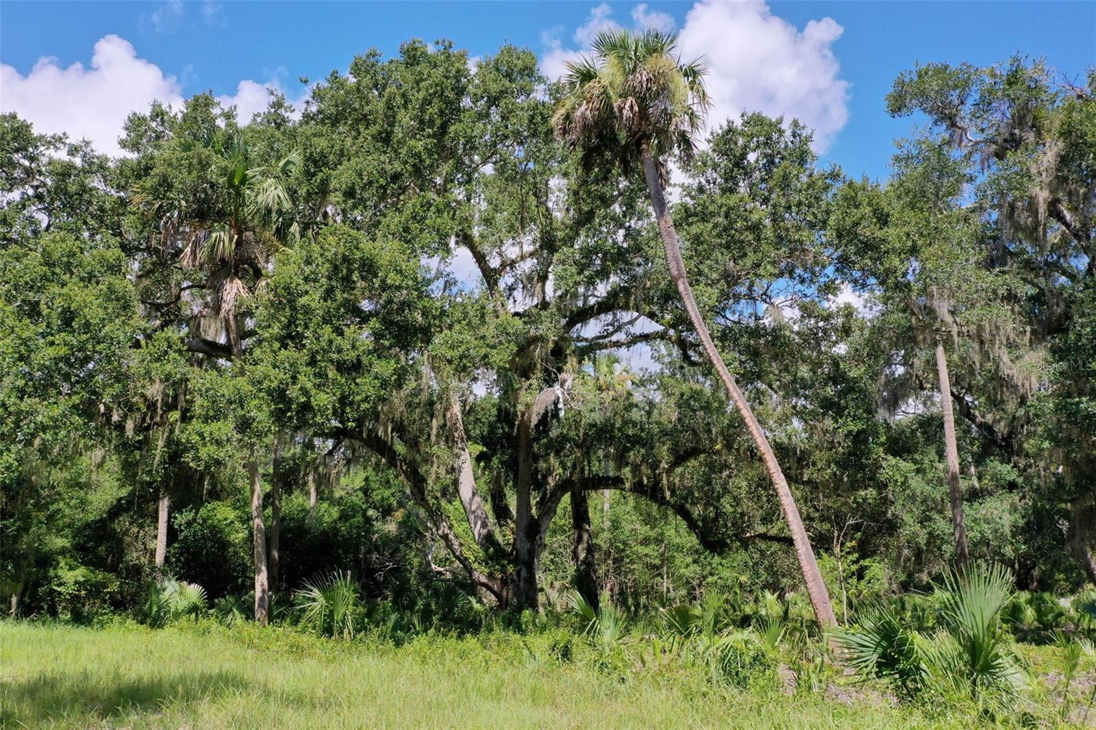 SEASIDE LNDGS - Land