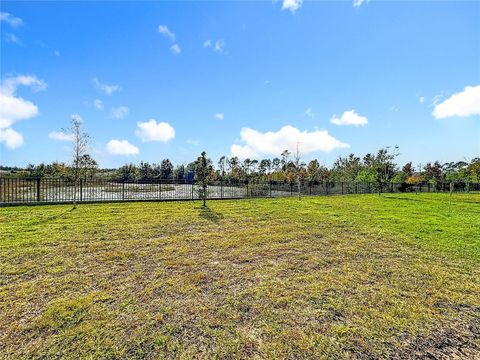 Tiny photo for 17152 Cagan Crossings Boulevard, Clermont, FL 34714 (MLS # O6365591)