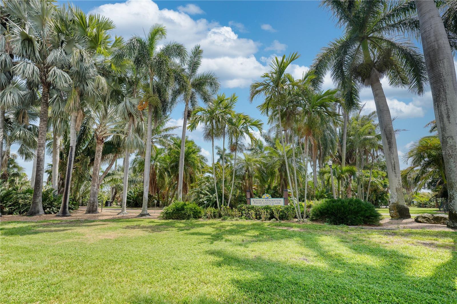 PARK SHORE CONDO - Residential