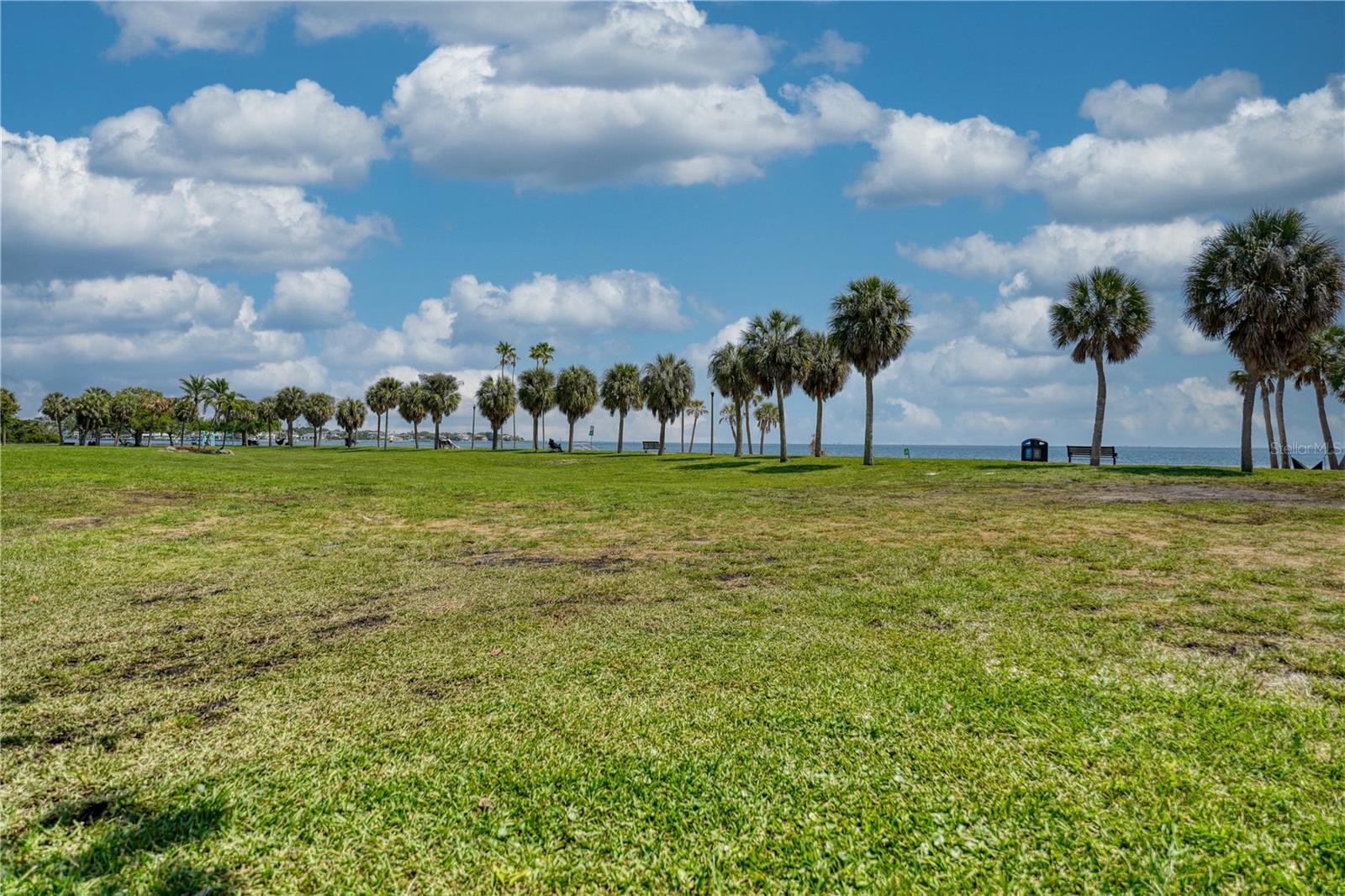 PARK SHORE CONDO - Residential