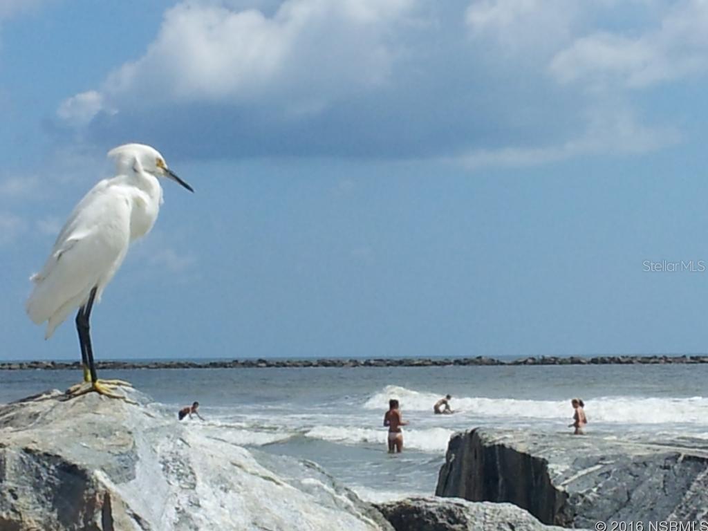 Diamond Head Point Condo - Residential